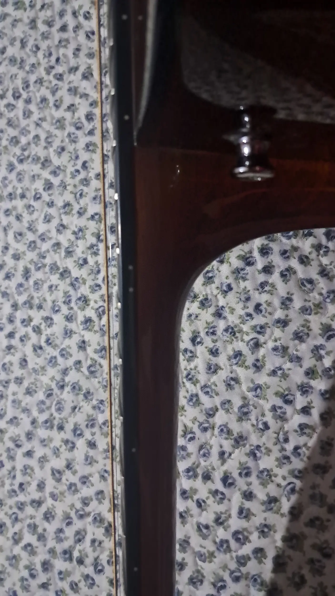 1000014239.webp