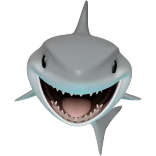 1754846496010.webp