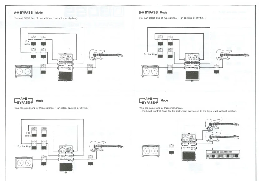 3.webp