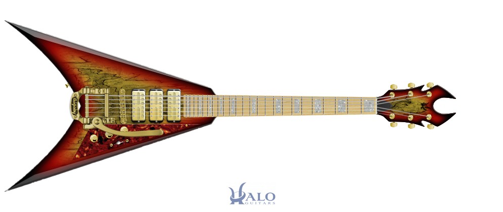 My-Halo-Custom-Guitar (1).jpg