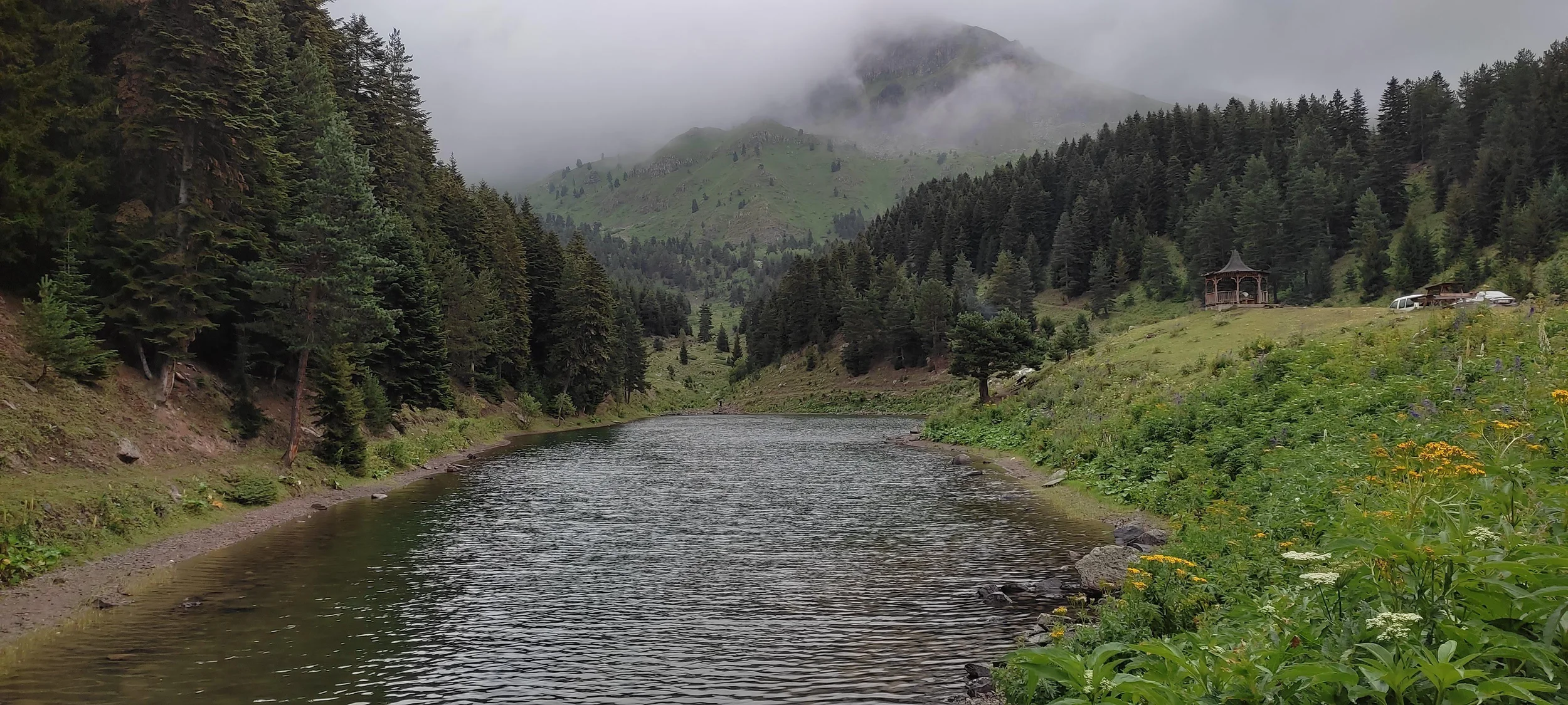 artvin.webp