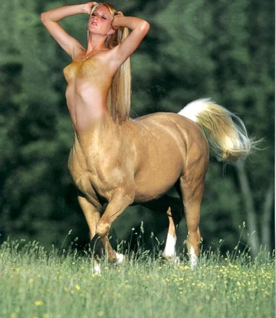 centaur_by_stanfordblonde.webp