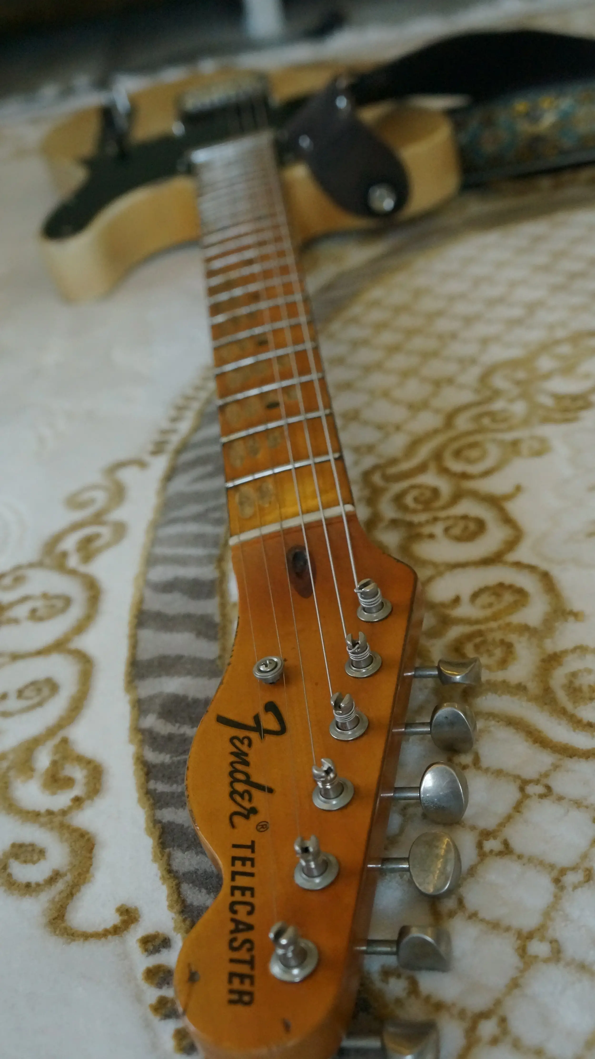 DSC02343.webp