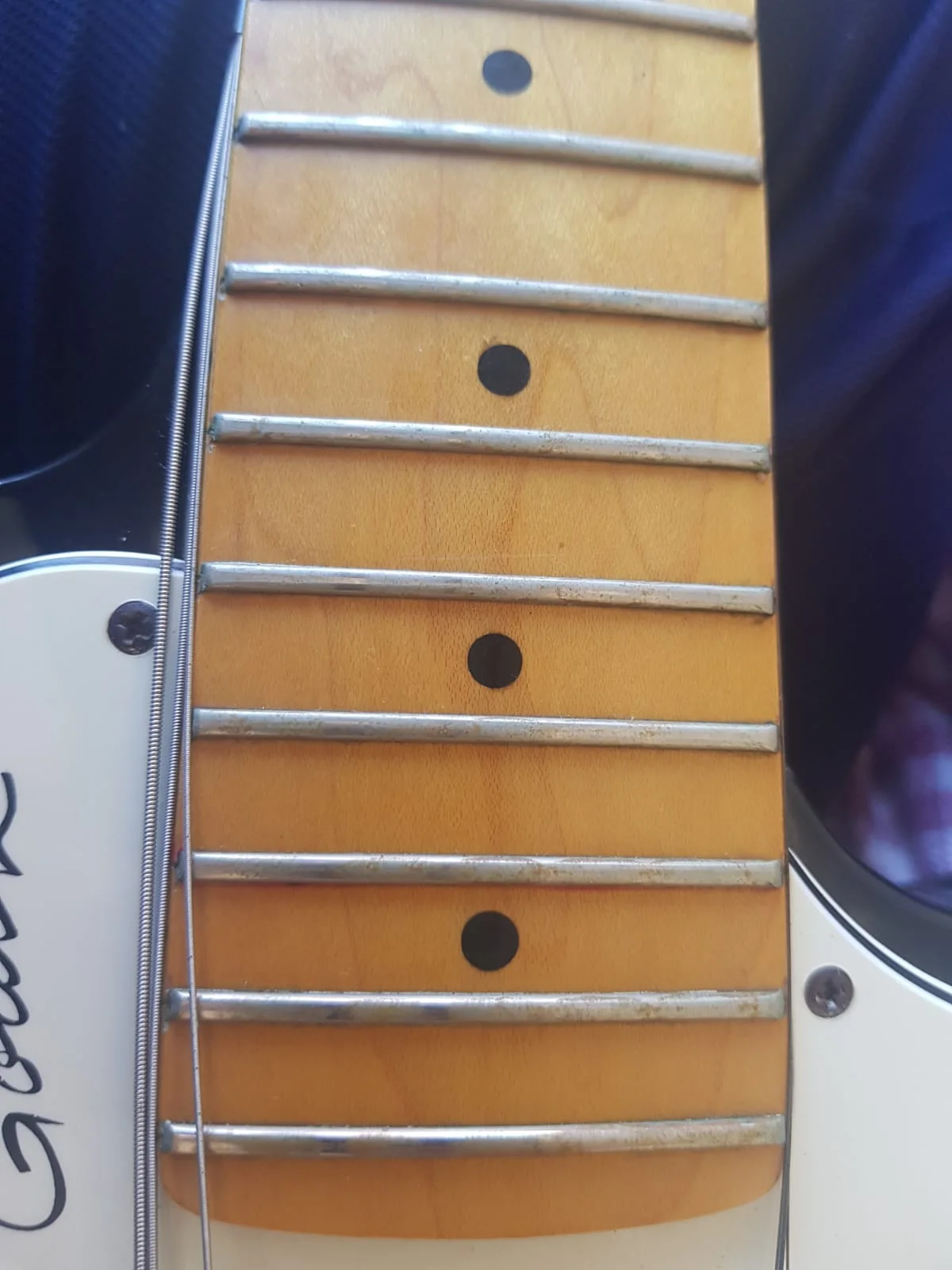 eski fret.jpeg eski fret.jpeg