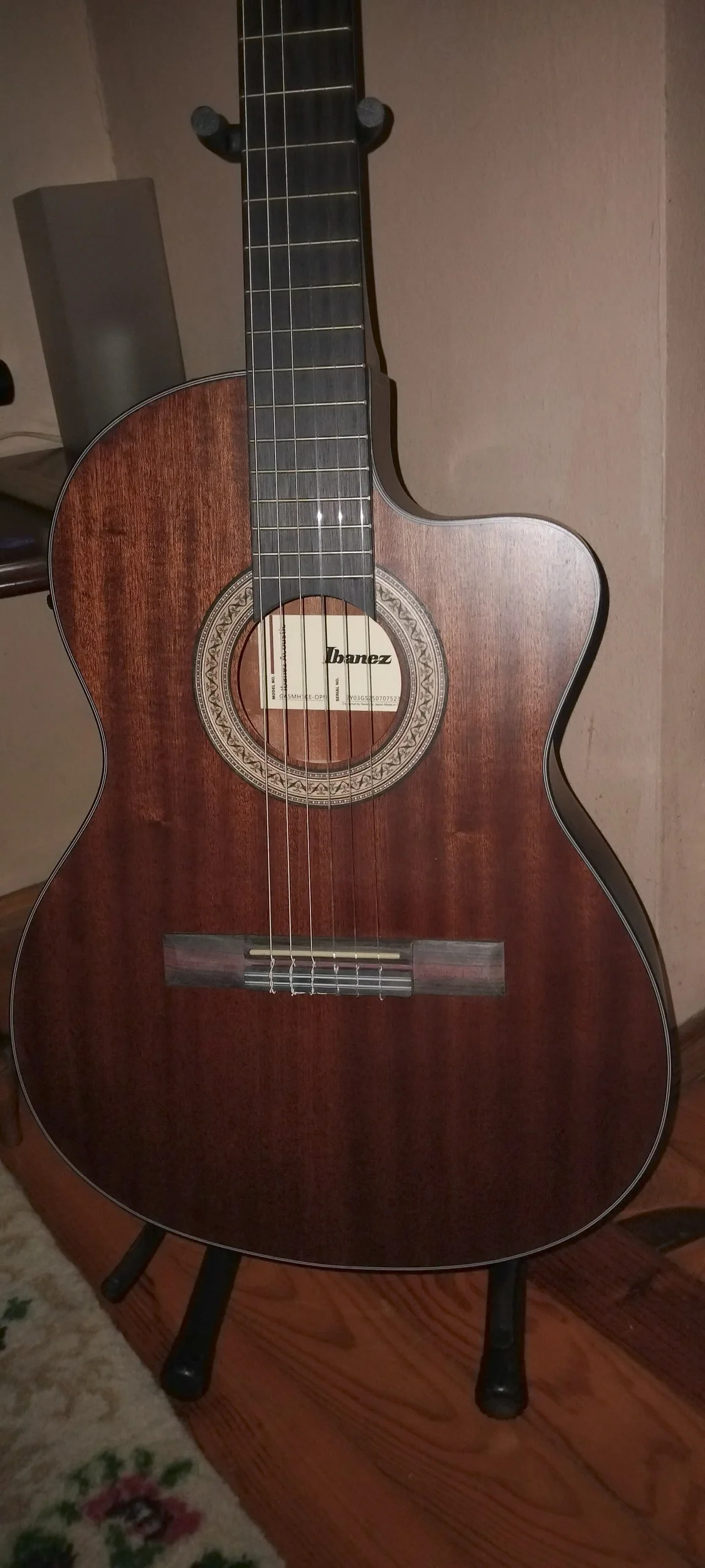 gitar 2.webp