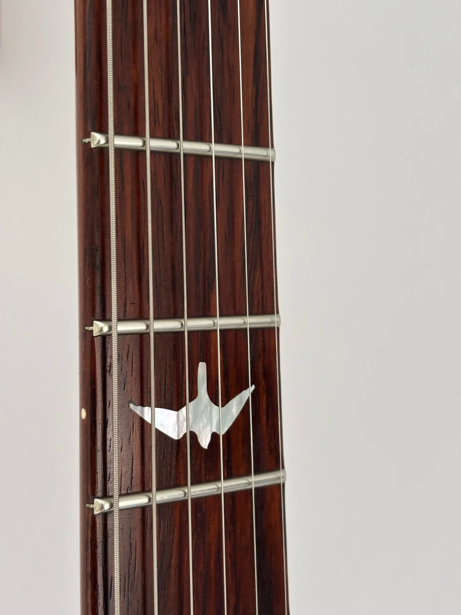 image10.webp