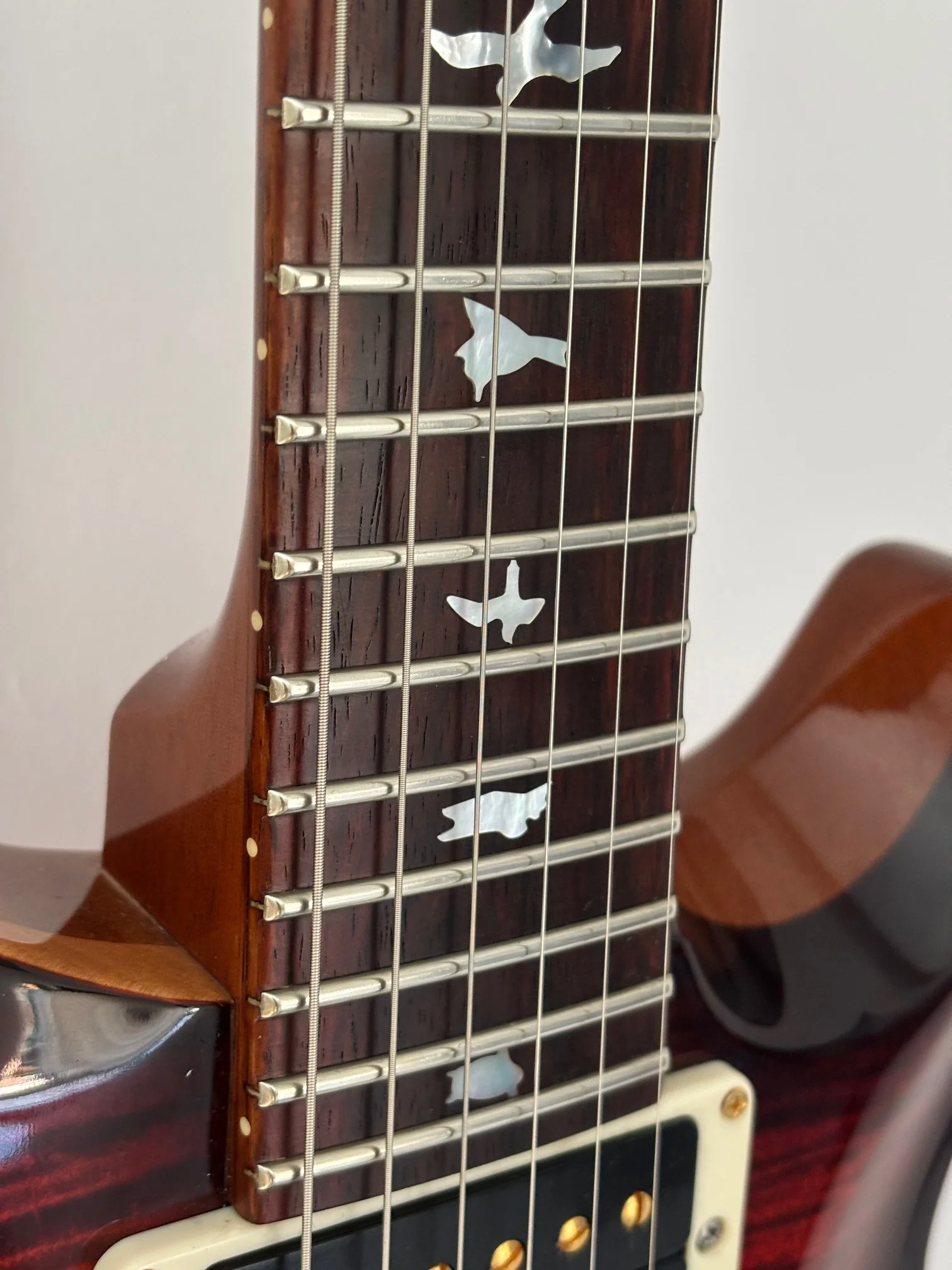 image12.webp