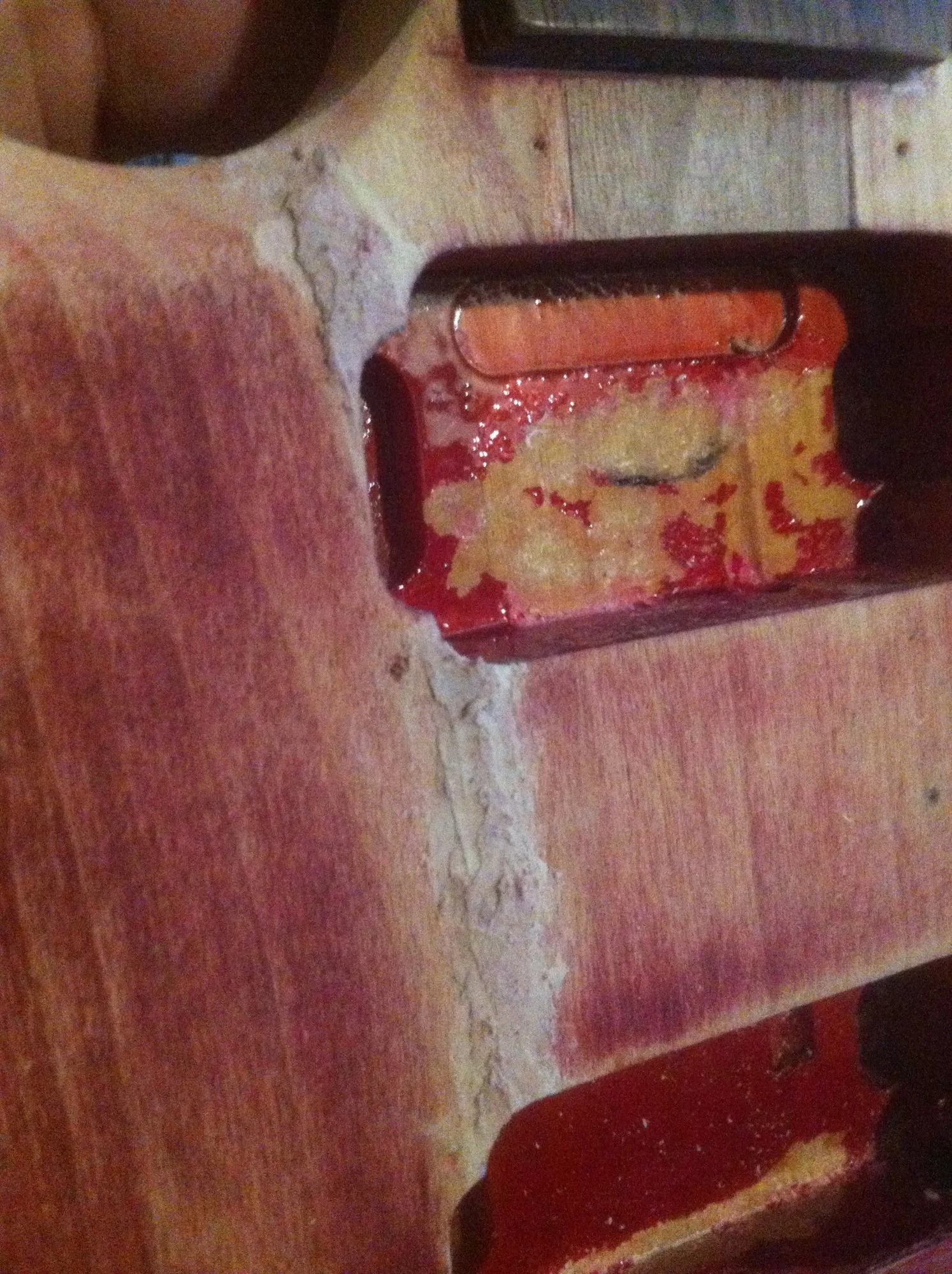 IMG_5466.webp IMG_5466.webp