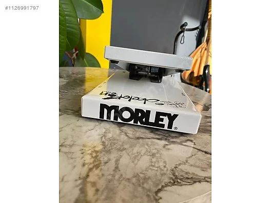 molrey.jpg