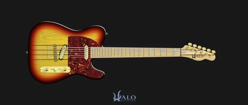My-Halo-Custom-Guitar (2).webp