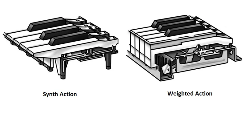 piano-action.webp